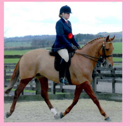 Sarah on Gypsy